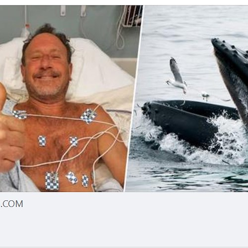 Sub inghiottito da una balena, salvo per un colpo di tosse /foto NBCNEWS
