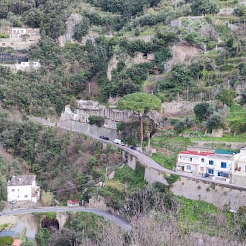 Taglio albero ad Amalfi, 10 marzo strada interrotta all’altezza di Vettica / ORARI