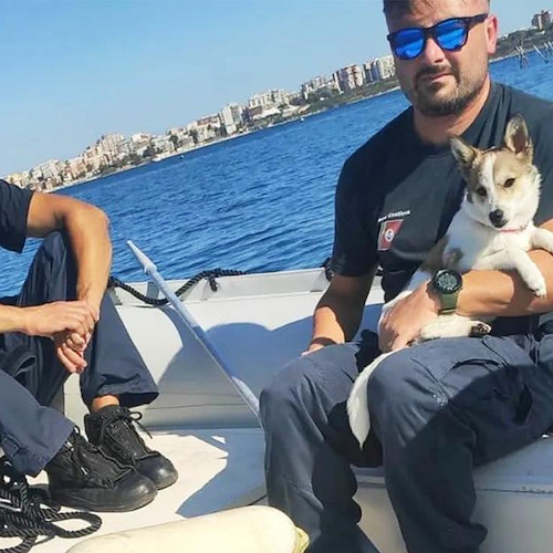 Taranto, cucciolo di cane si perde sugli scogli: la Guardia Costiera lo salva via mare