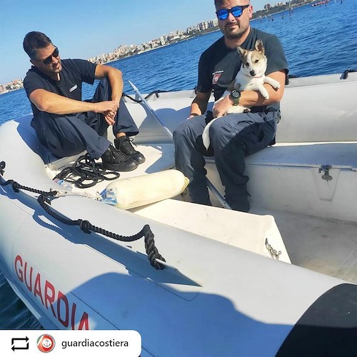 Taranto, cucciolo di cane si perde sugli scogli: la Guardia Costiera lo salva via mare