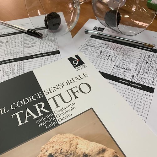 Tartufo Campano: approfondimenti e valorizzazione della filiera /foto /video