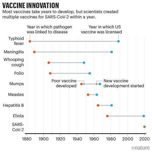 Tempi record per la ricerca del vaccino anti Covid, l'analisi della ricercatrice scientifica Paola Dama