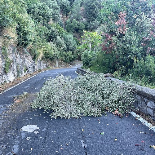 Temporale in Costa d'Amalfi: nella notte allagamenti e rami caduti. Danneggiati stabilimenti a Maiori / FOTO 