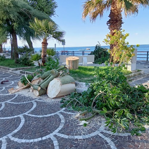 Temporale in Costa d'Amalfi: nella notte allagamenti e rami caduti. Danneggiati stabilimenti a Maiori / FOTO 