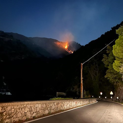 Incendio Scalese<br />&copy; Massimiliano D'Uva