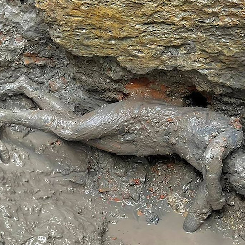 Toscana, 24 bronzi emersi dalle acque di San Casciano dei Bagni: una scoperta che "riscriverà la storia"