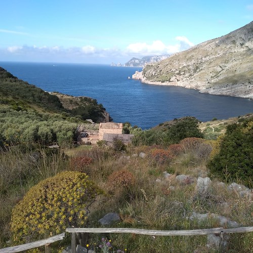 Tra le 5 spiagge più belle della Campania secondo gli utenti di Tripadvisor due sono in penisola sorrentina