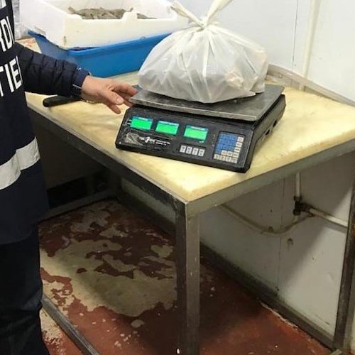 Tracciabilità, Guardia Costiera sequestra più di 100 kg di pescato tra Positano e Sapri