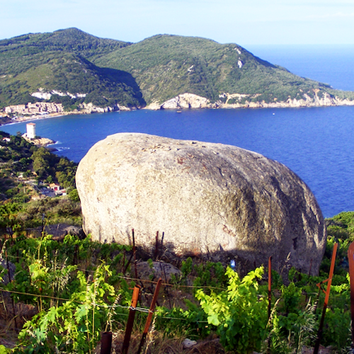 Tragedia in mare ieri pomeriggio tra Argentario e Isola del Giglio: un uomo è morto e una donna è tuttora dispersa