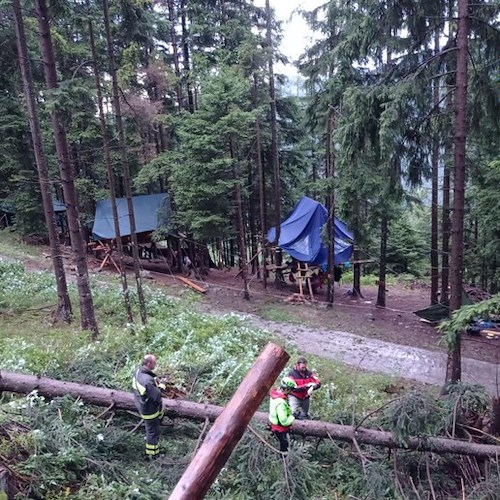 Tragedia in un campo scout nel Bresciano, ragazzina muore schiacciata da un albero 