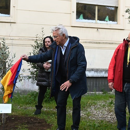 Tre anni dall'inizio della pandemia, a Salerno targa e ulivo per ricordare le vittime del Covid