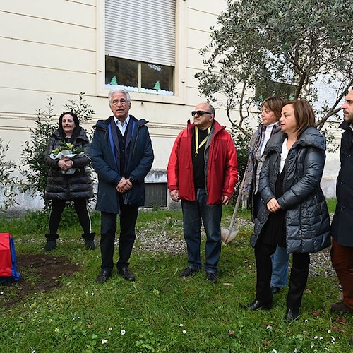 Tre anni dall'inizio della pandemia, a Salerno targa e ulivo per ricordare le vittime del Covid