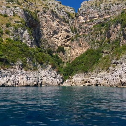 Troppe infrazioni e pesca subacquea illegale tra Costa d'Amalfi e Penisola Sorrentina, l'Amp Punta Campanella lancia l'allarme 