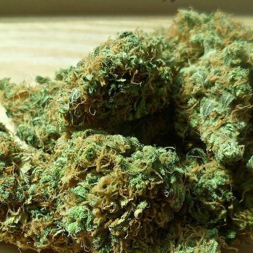 Trovati in possesso di marijuana e hashish, nei guai nonno e nipote a San Carlo Arena 
