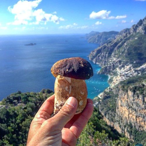 Un porcino sullo sfondo della Costa d’Amalfi nella foto di Fabio Fusco ci ricorda le credenze sui funghi