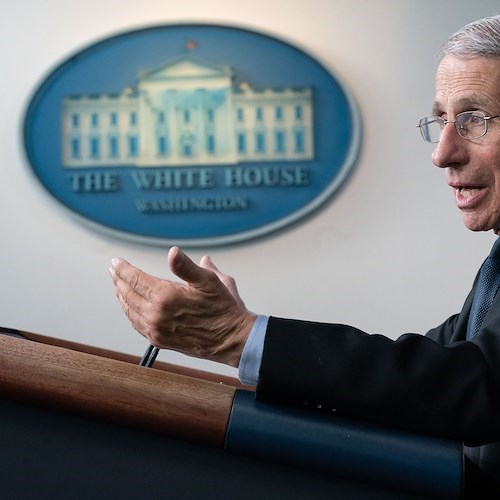Usa, Elon Musk in un tweet: "Indagate Fauci"