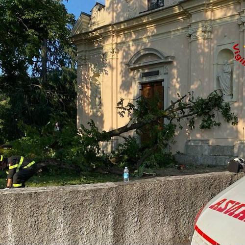 Varese, albero crolla sui bambini all'uscita dall'oratorio: ci sono dei feriti gravi