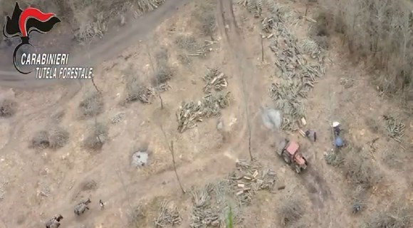 Abusivismo, scoperto fabbricato sviluppato su 3 livelli nel Parco del Cilento: scatta il sequestro 