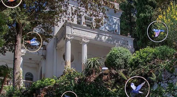 Capri, installazione site-specific con circa 200 uccelli sospesi a Villa Lysis 