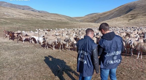 Frode ai danni dell'Unione Europea a Padova: sequestrati 17,2 milioni di euro a 48 imprenditori agricoli 