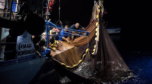Gal Pesca Approdo di Ulisse: nuove reti per 50 operatori tra Costiera Amalfitana, Penisola Sorrentina e Capri 