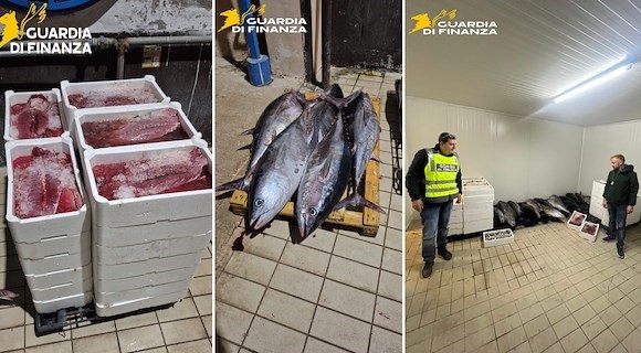Napoli, sequestrata una tonnellata di pesce senza tracciabilità al mercato di Mugnano