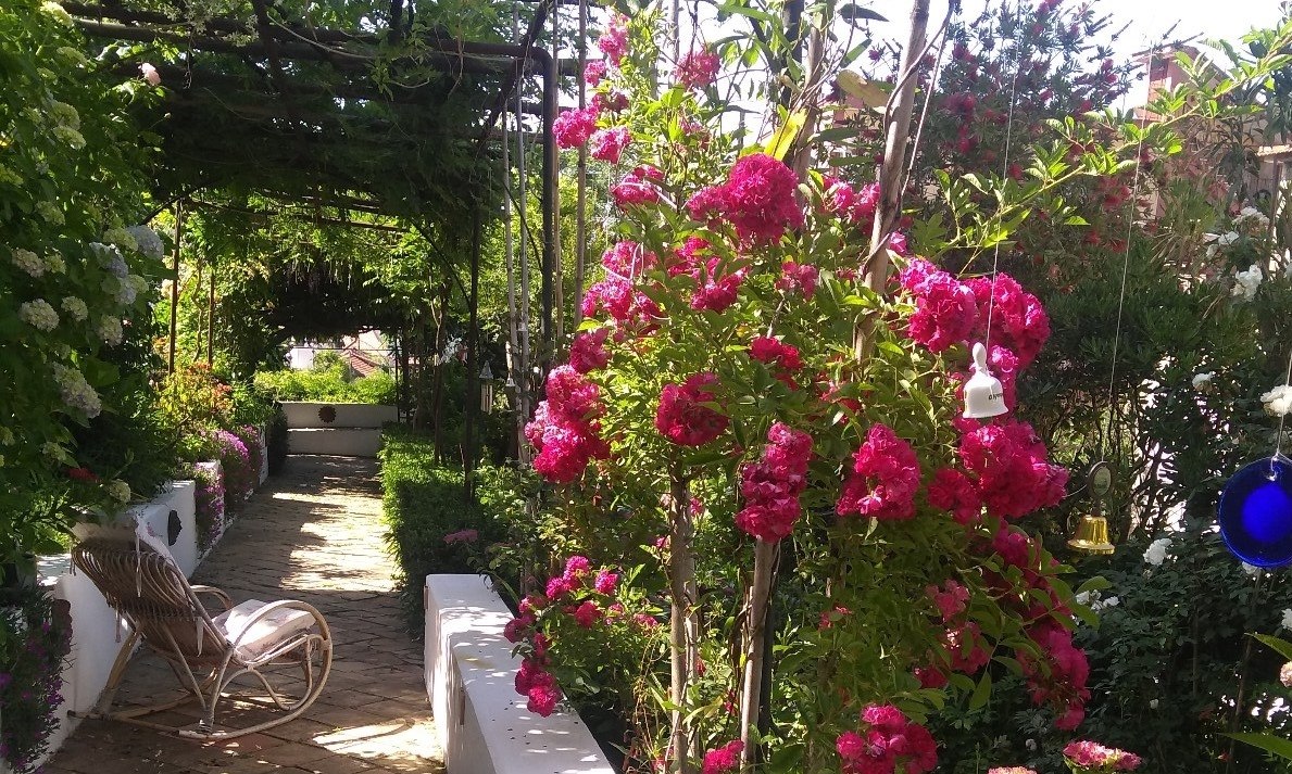 Risultati immagini per giardino segreto dell'anima tramonti